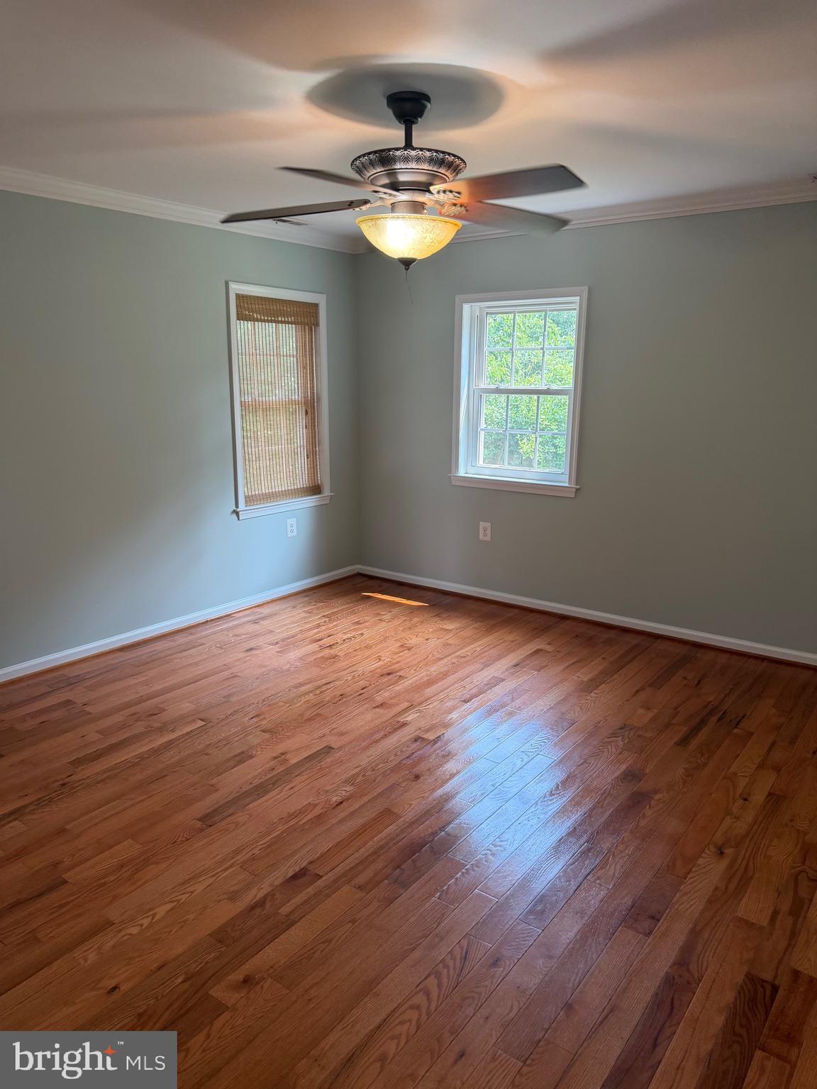 30000 Holmes Road Mechanicsville, MD 20659 - Photo 13 of 26