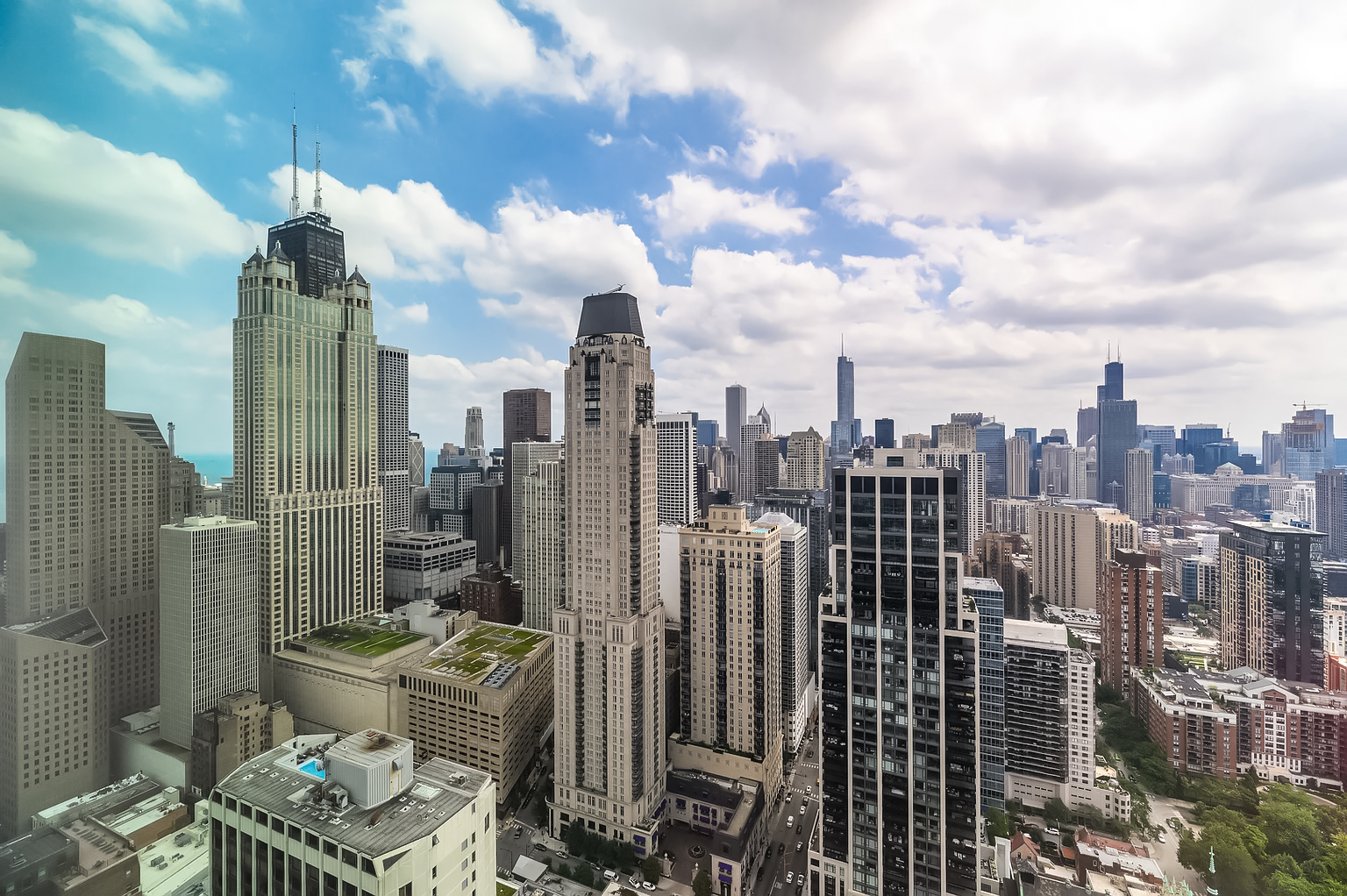 1030 North State Street, Unit 51J Chicago, IL 60610 - Photo 10 of 19