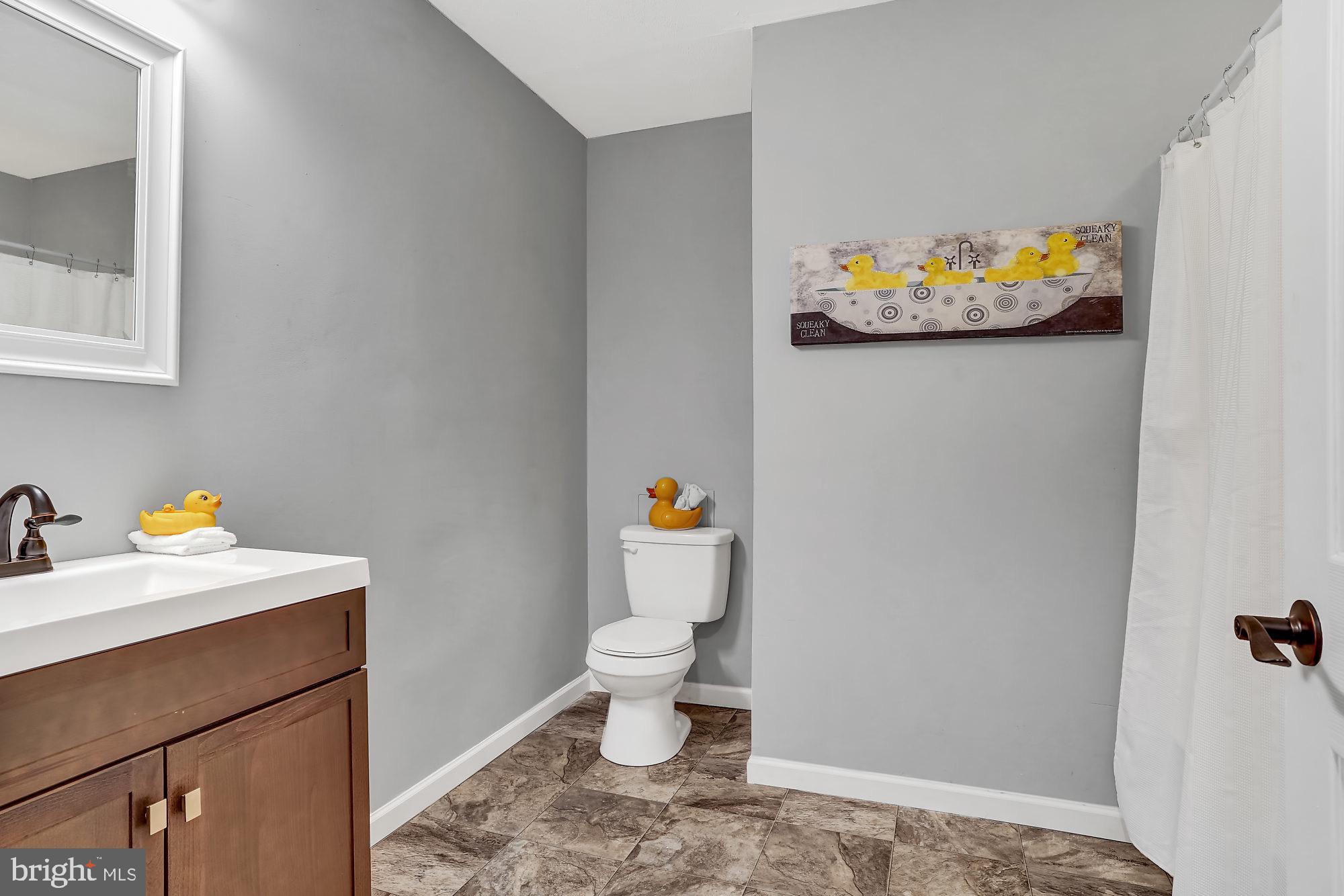 13296 Fishel Road Felton, PA 17322 - Photo 13 of 51 a bathroom with a sink a toilet and painting on the wall