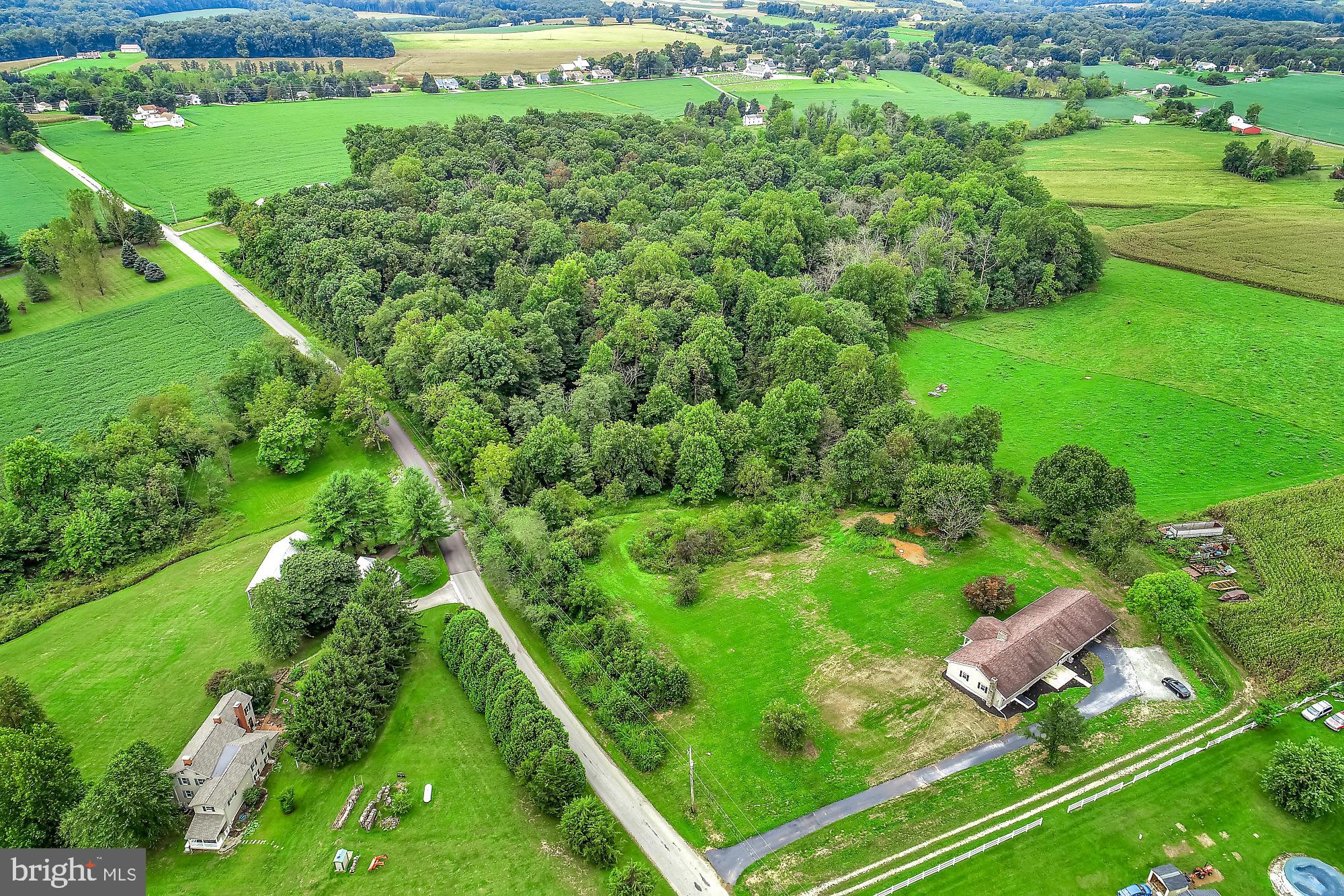 13296 Fishel Road Felton, PA 17322 - Photo 36 of 51 a view of a green yard with large trees