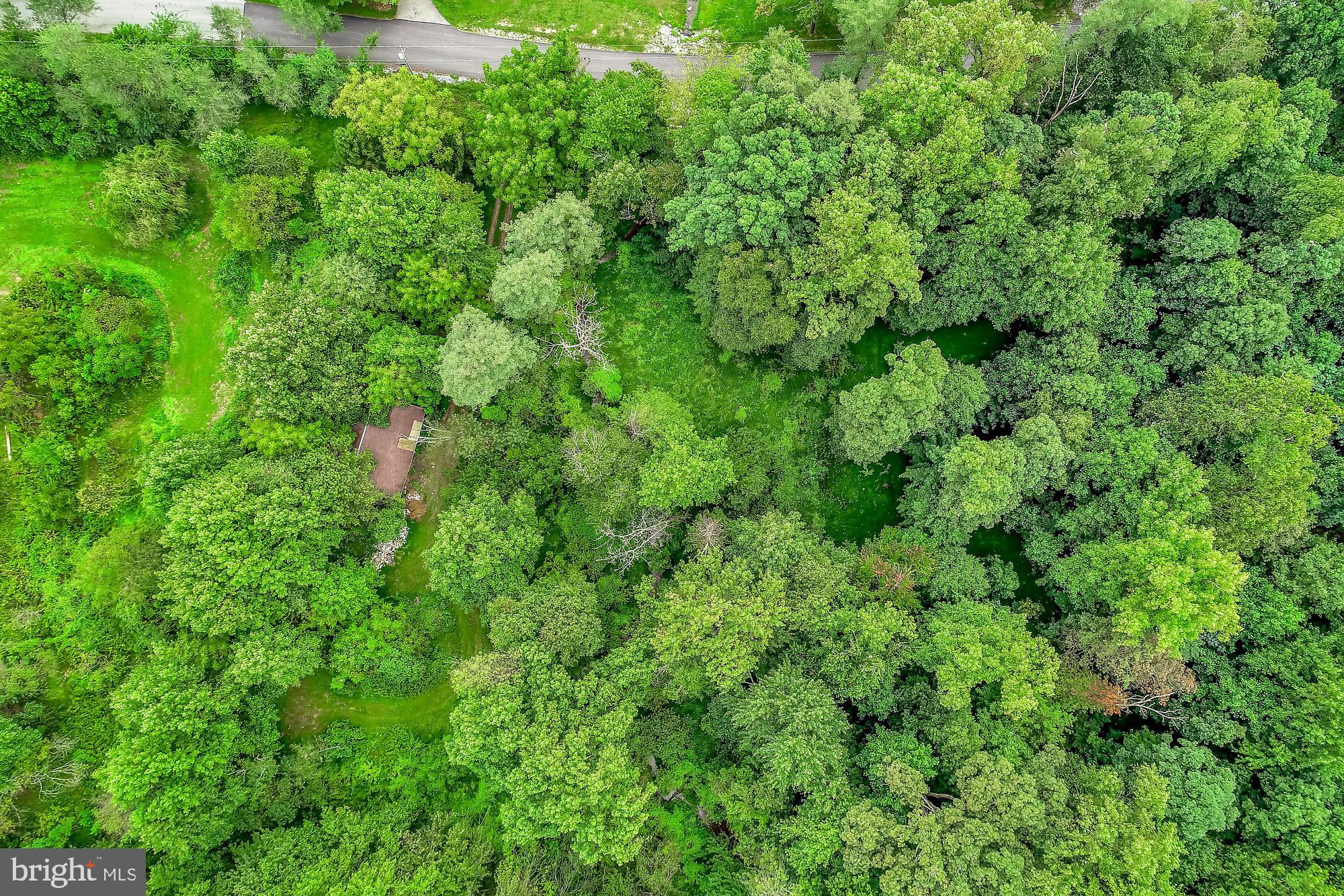 13296 Fishel Road Felton, PA 17322 - Photo 42 of 51 a view of a lush green forest
