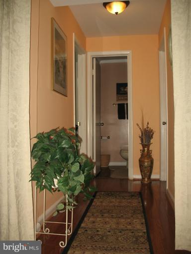 806 Malta Lane Silver Spring, MD 20901 - Photo 11 of 30 a view of a entryway of the house