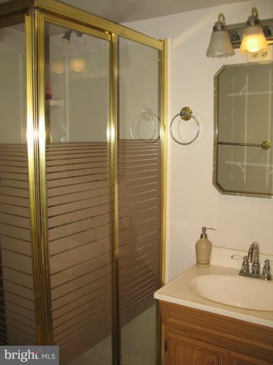 806 Malta Lane Silver Spring, MD 20901 - Photo 18 of 30 a bathroom with a sink and a mirror