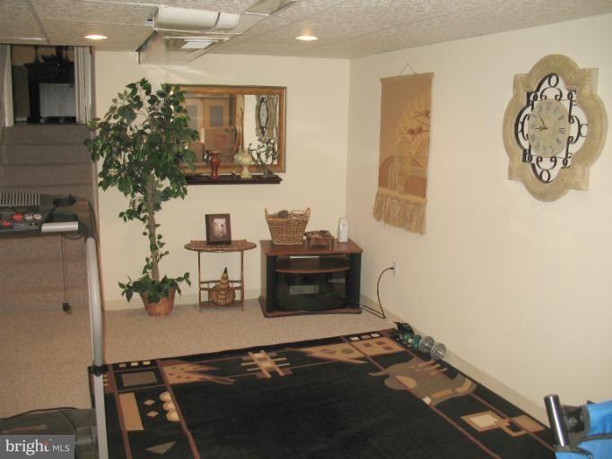 806 Malta Lane Silver Spring, MD 20901 - Photo 27 of 30 a living room with furniture and a potted plant