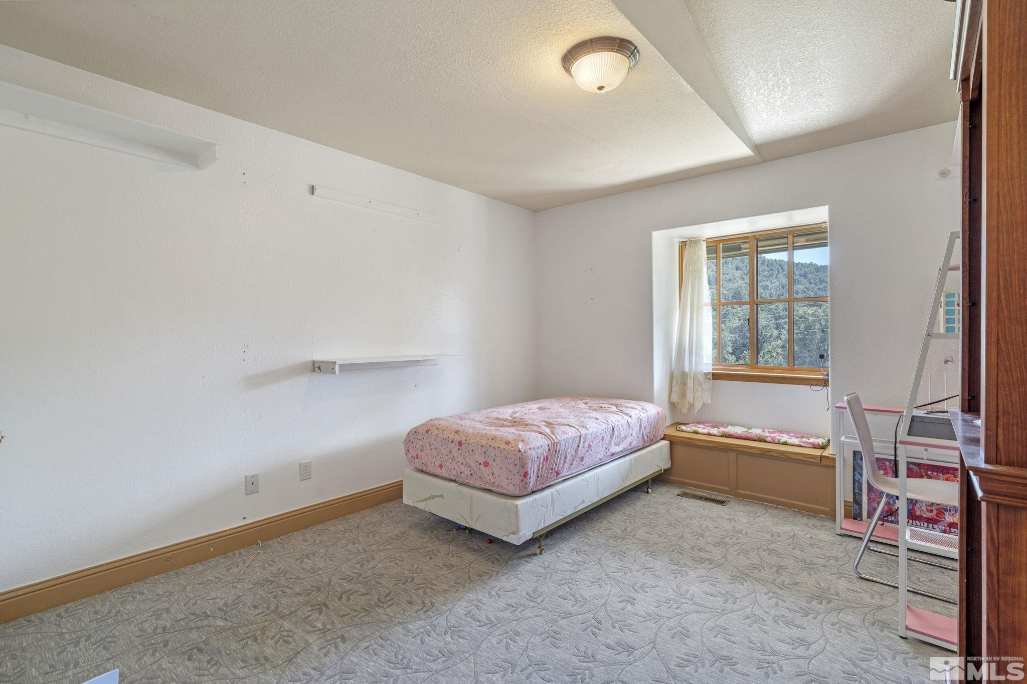 21410 Sazarac Road Reno, NV 89521 - Photo 20 of 38 Photo 20