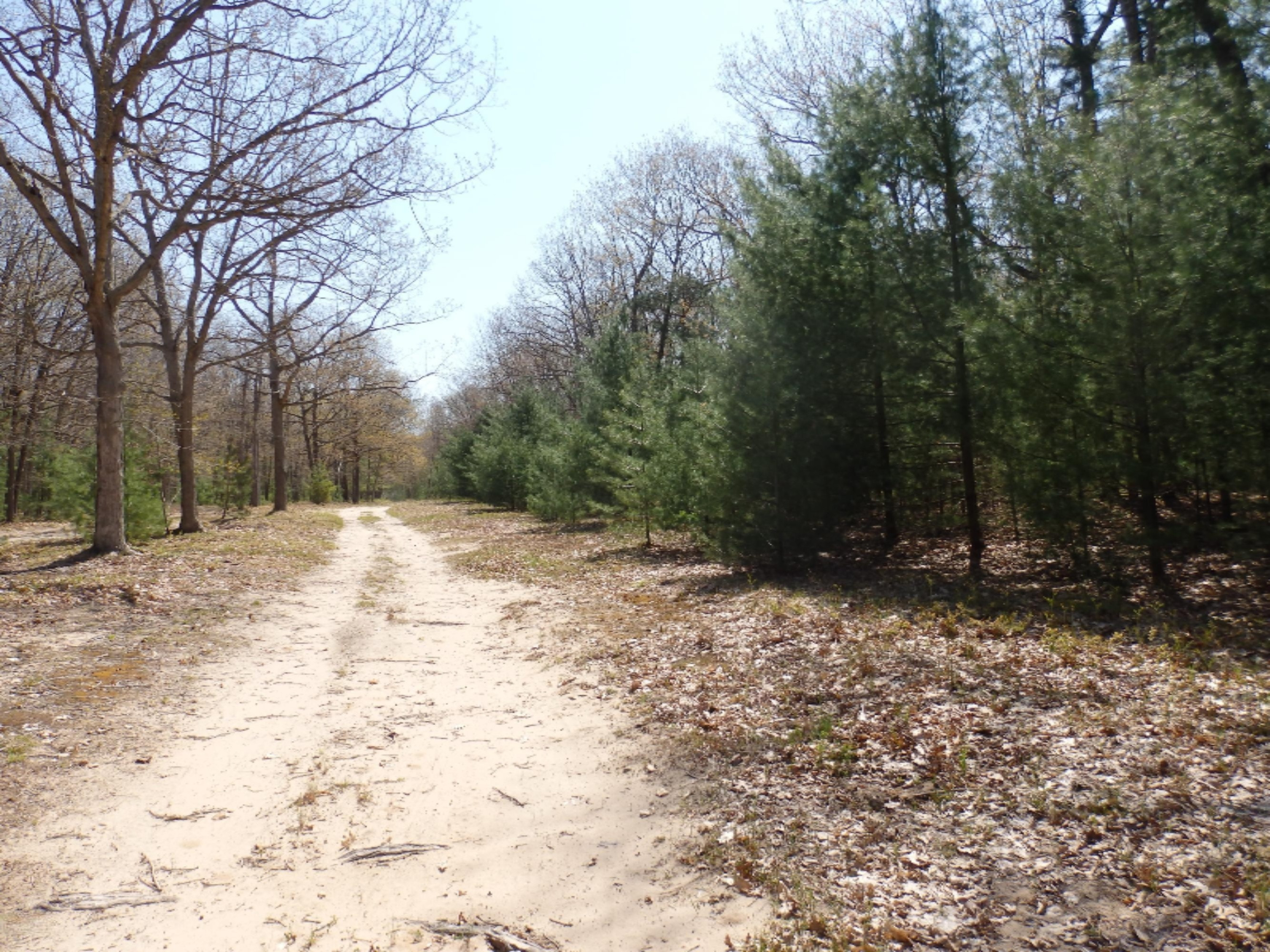 Wildwood Parcel A Road Manistee, MI 49660 - Photo 12 of 14 P5160034