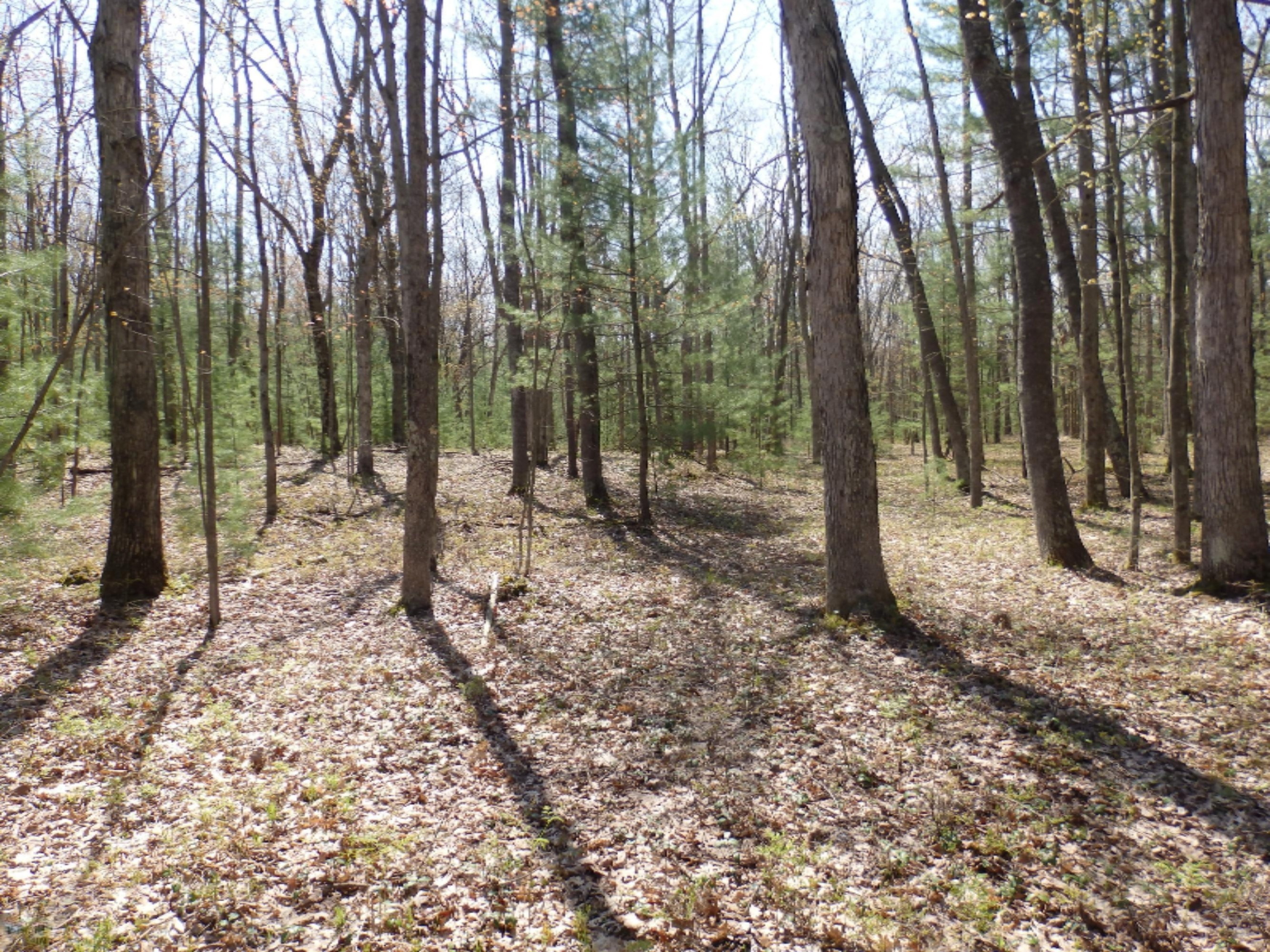 Wildwood Parcel A Road Manistee, MI 49660 - Photo 2 of 14 P5160024