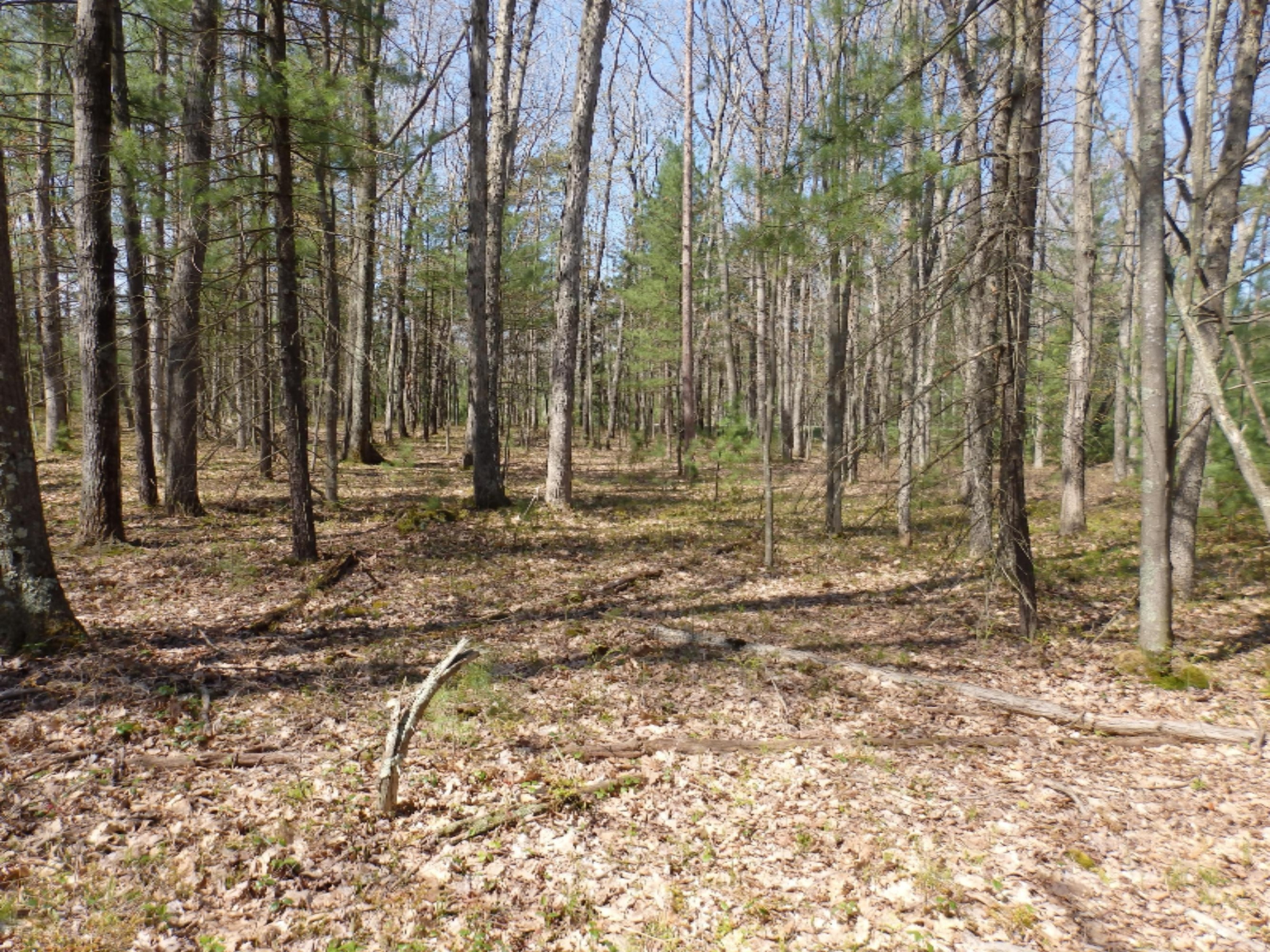 Wildwood Parcel A Road Manistee, MI 49660 - Photo 3 of 14 P5160025