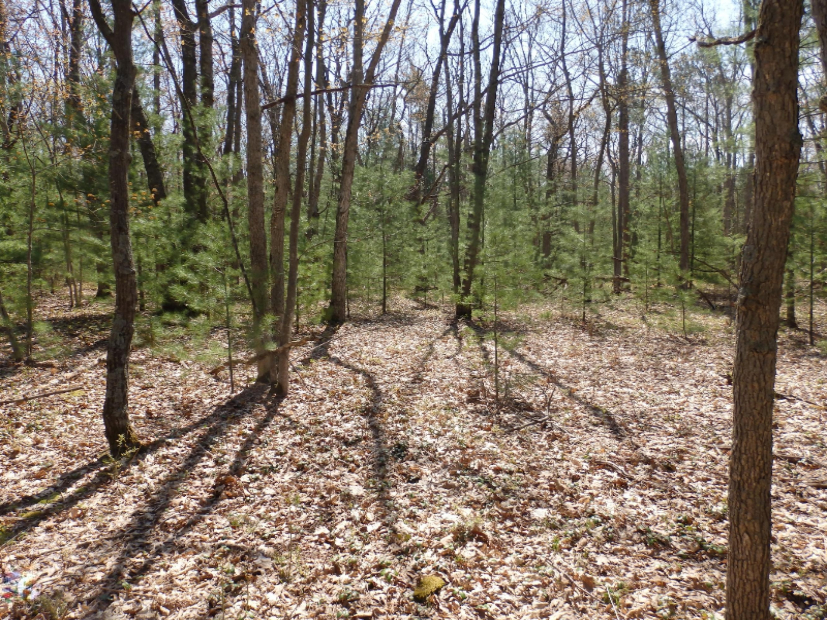 Wildwood Parcel A Road Manistee, MI 49660 - Photo 4 of 14 P5160026