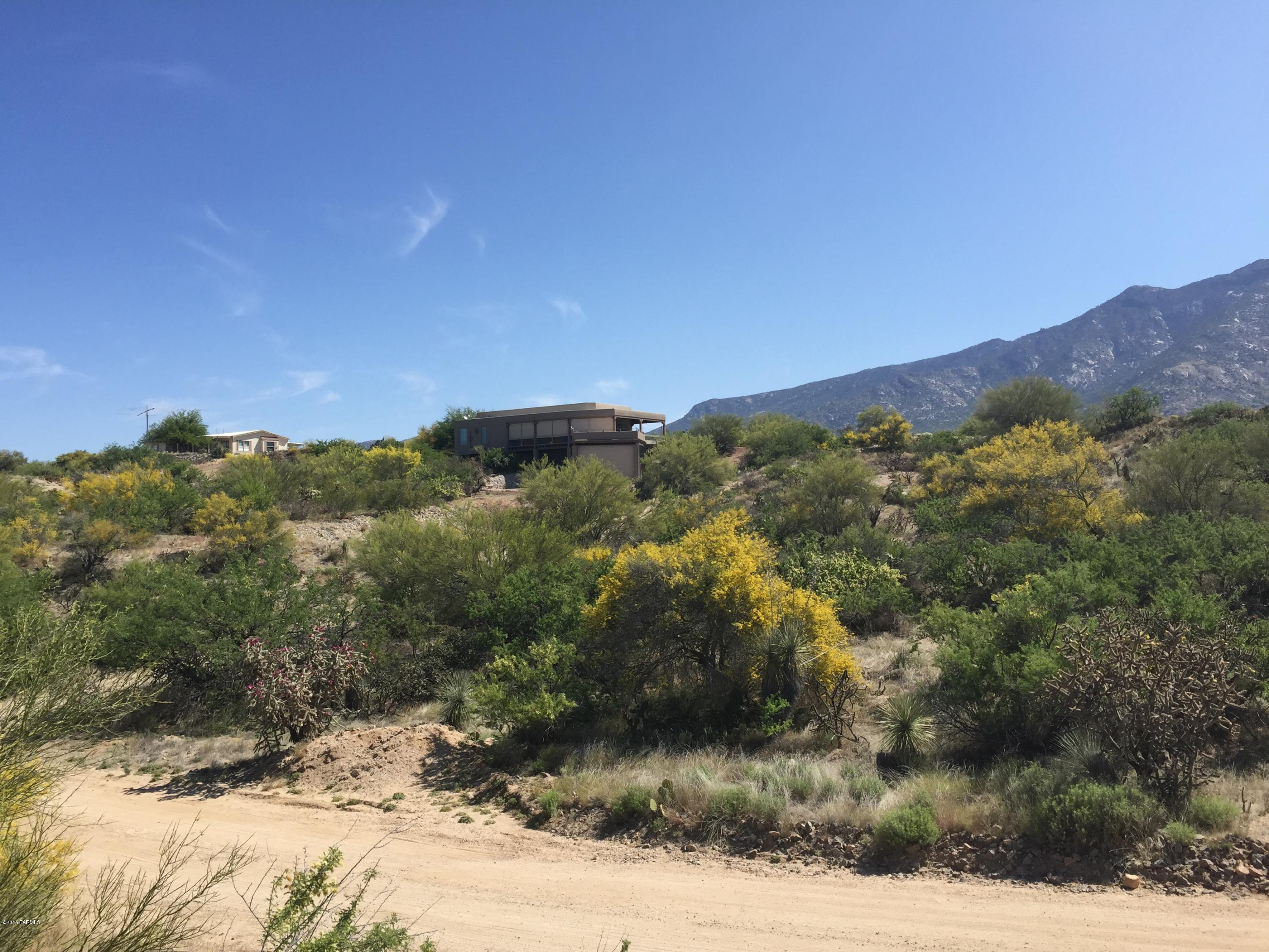 14525 North Swan Road Tucson, AZ 85739 - Photo 8 of 9