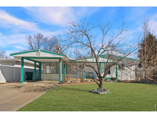 a backyard of a house with large trees and a big yard