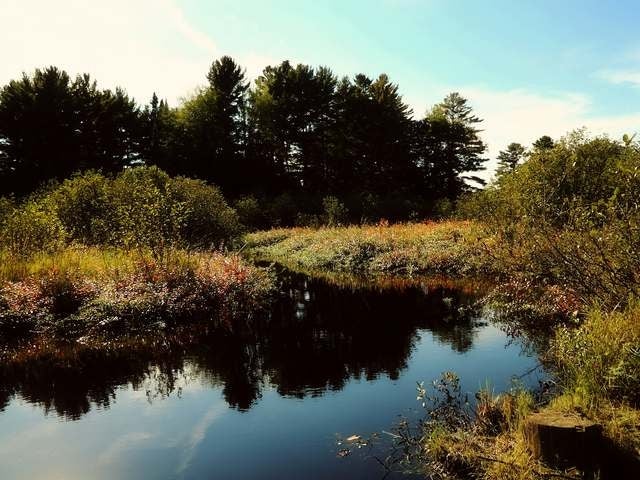 1935 Rice Lane Eagle River, WI 54521 - Photo 2 of 20 Gallery Image 2
