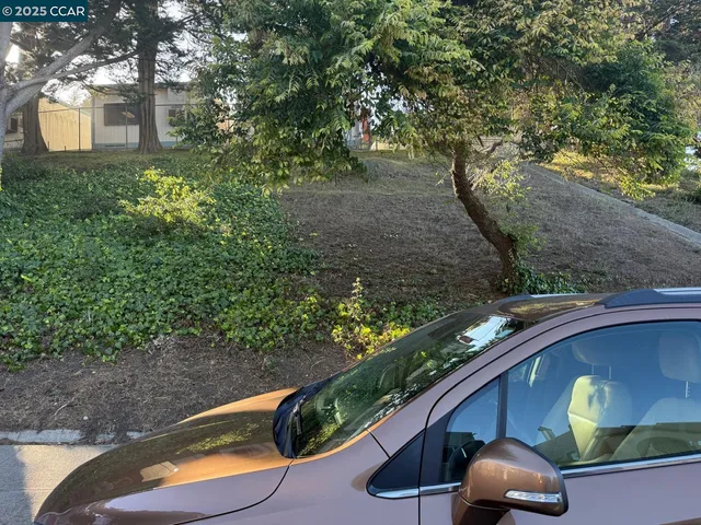 a view of a yard from a balcony