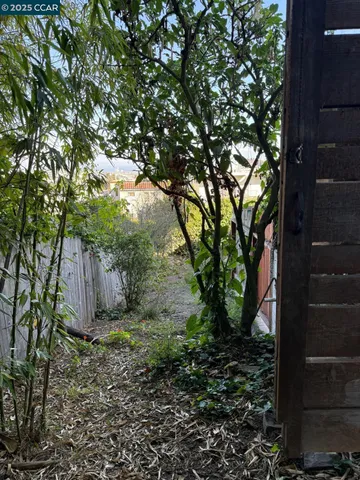 a view of backyard with tree