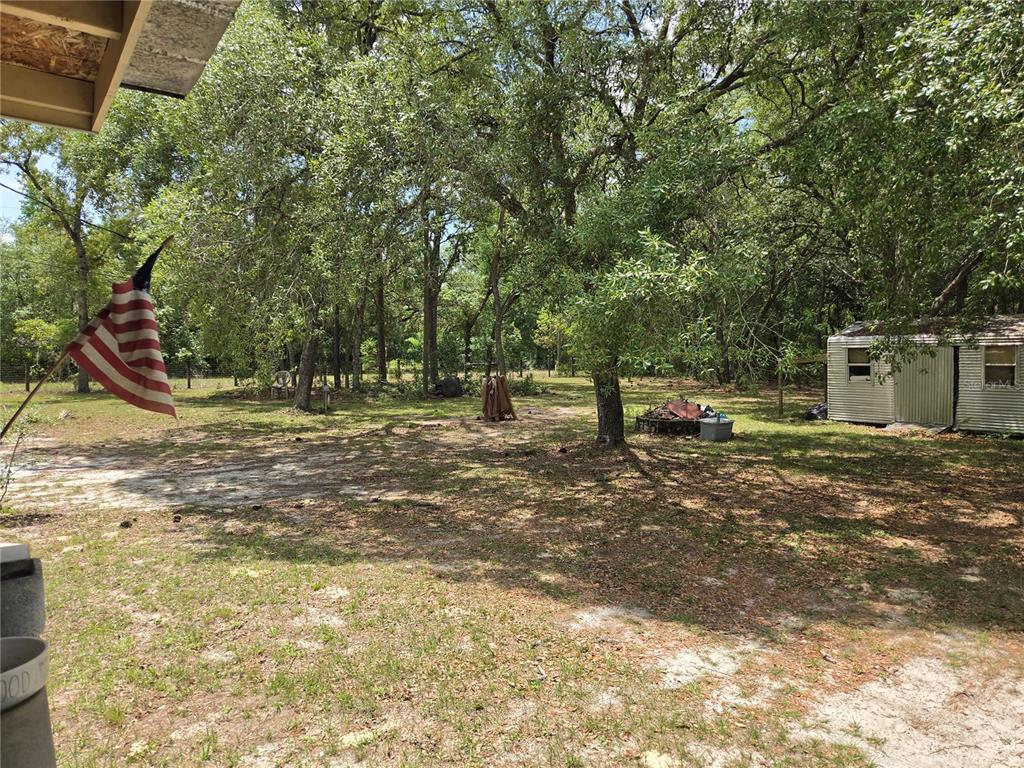 4738 Southwest 166th Court Road Ocala, FL 34481 - Photo 12 of 14 a view of a tree in a yard