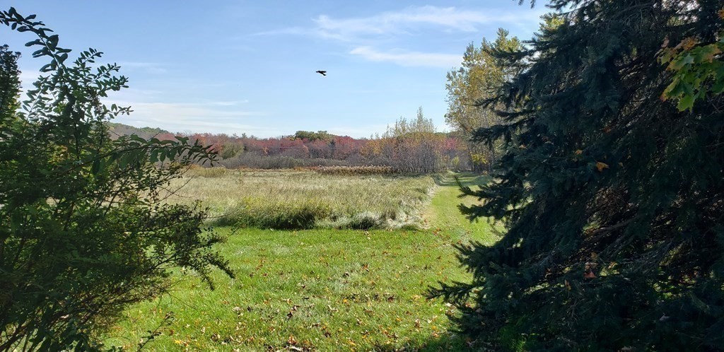 262 Lions Mouth Road Amesbury, MA 01913 - Photo 35 of 41