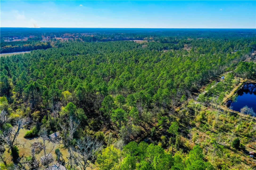 0 Smith Road Waycross, GA 31503 - Photo 11 of 17