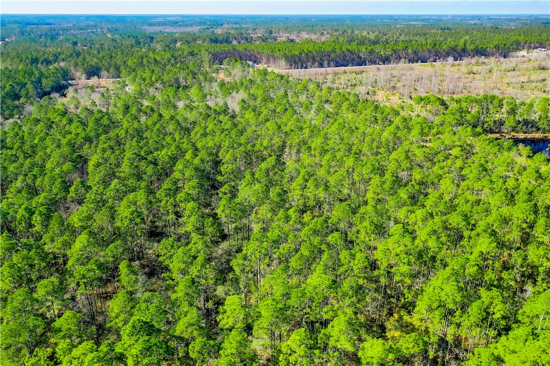 0 Smith Road Waycross, GA 31503 - Photo 12 of 17