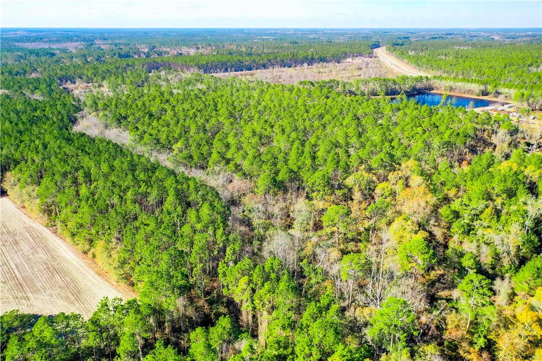 0 Smith Road Waycross, GA 31503 - Photo 14 of 17