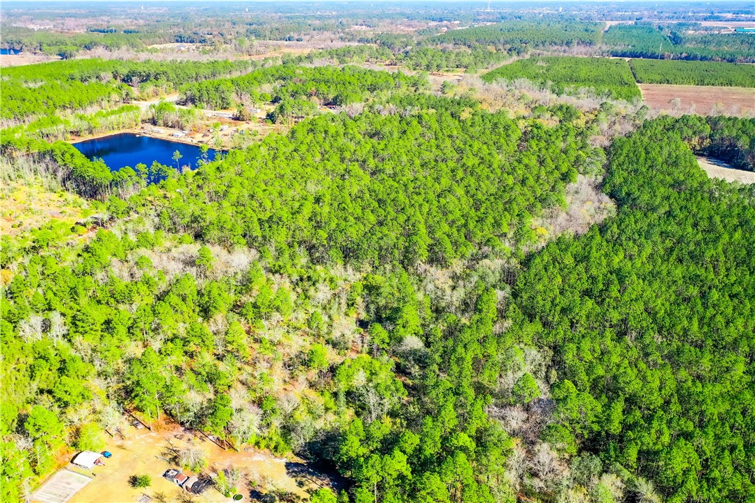 0 Smith Road Waycross, GA 31503 - Photo 16 of 17