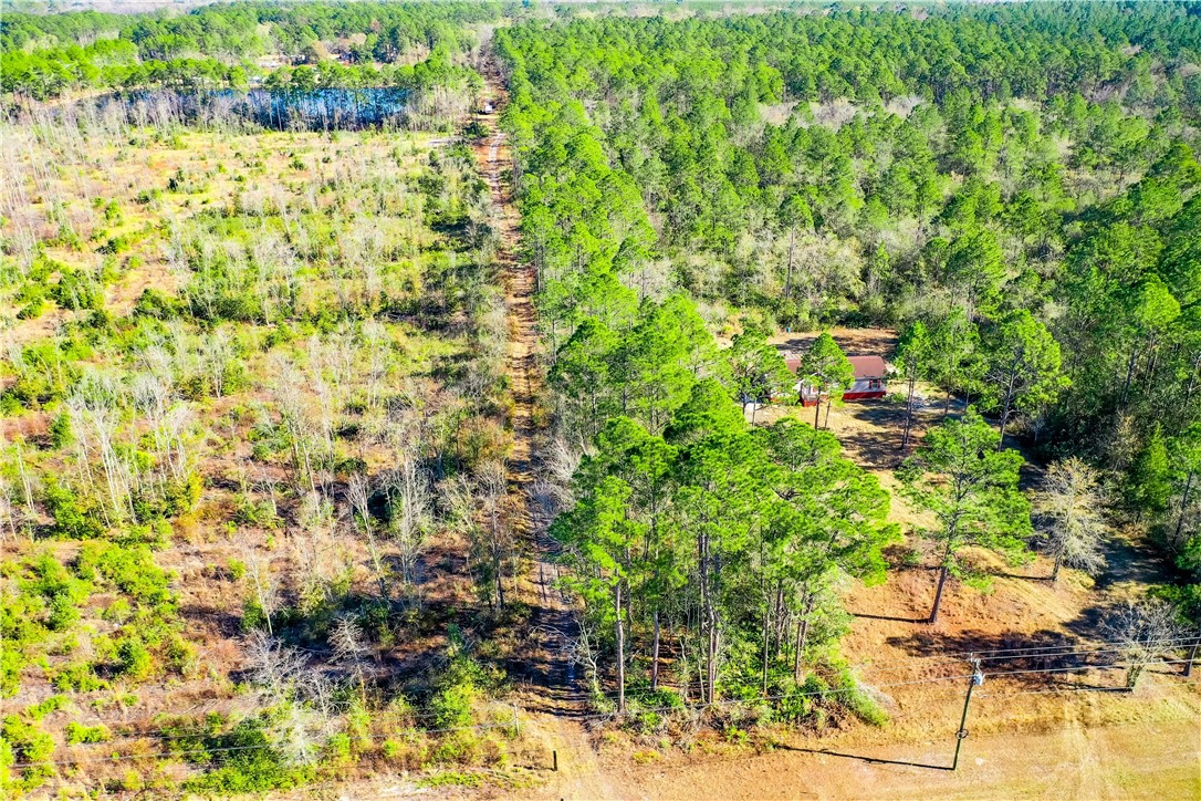0 Smith Road Waycross, GA 31503 - Photo 6 of 17