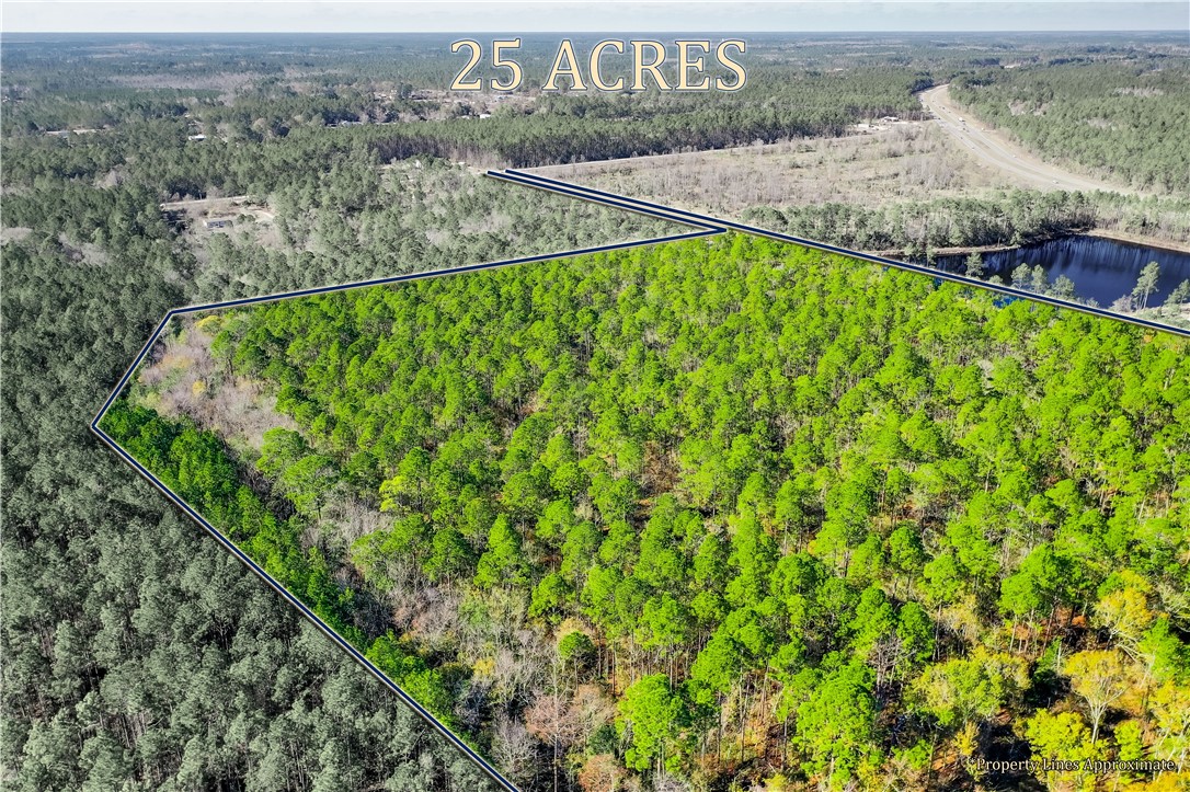 0 Smith Road Waycross, GA 31503 - Photo 7 of 17