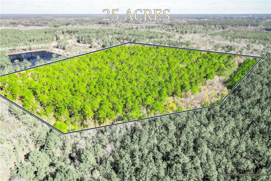 0 Smith Road Waycross, GA 31503 - Photo 9 of 17