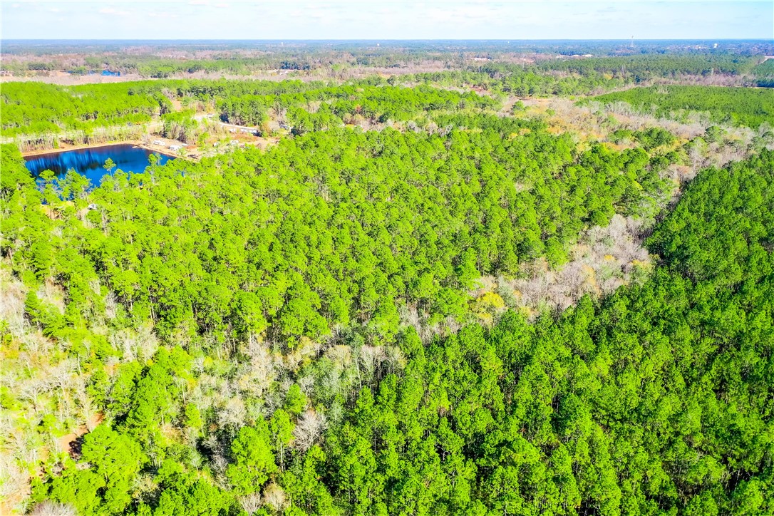 0 Smith Road Waycross, GA 31503 - Photo 10 of 17