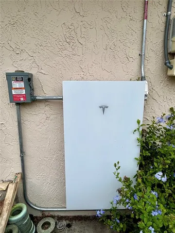 wooden floor with a potted plant