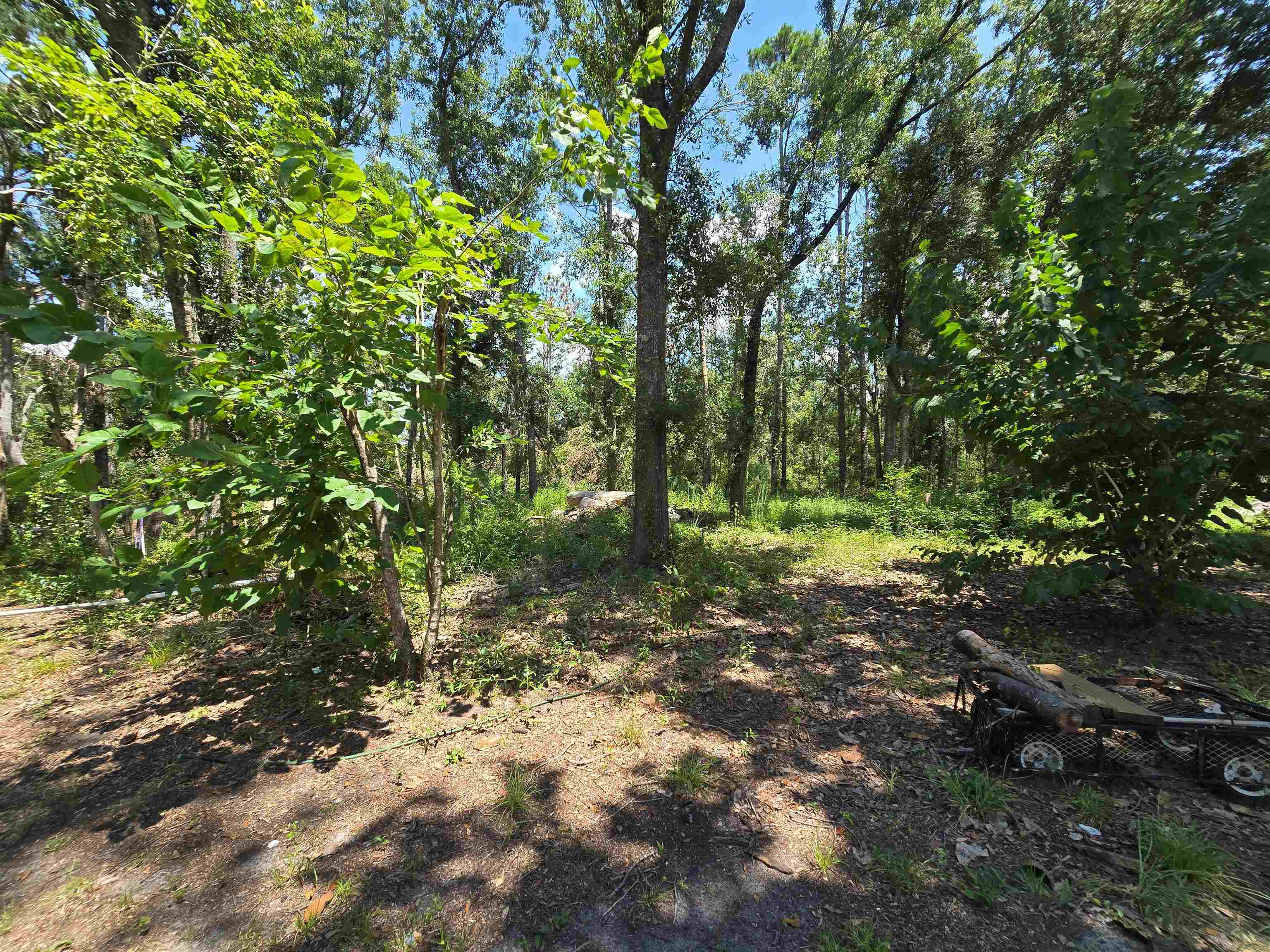 1764 Dice Road Perry, FL 32348 - Photo 21 of 25