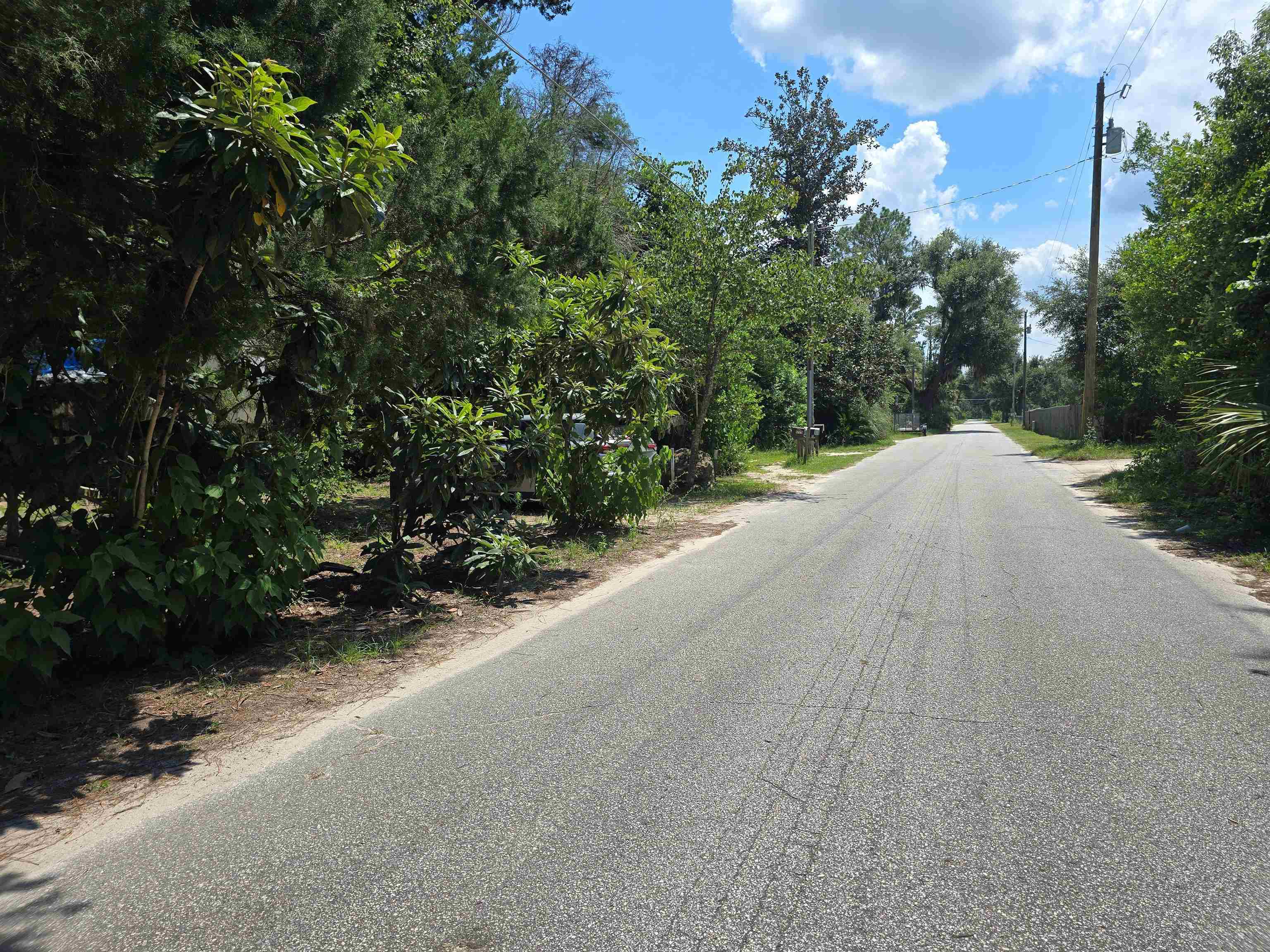 1764 Dice Road Perry, FL 32348 - Photo 23 of 25