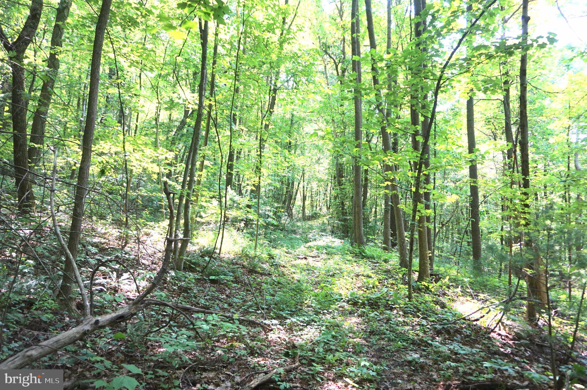 0 Mountain Road Lykens, PA 17048 - Photo 1 of 9 Gallery Image 1