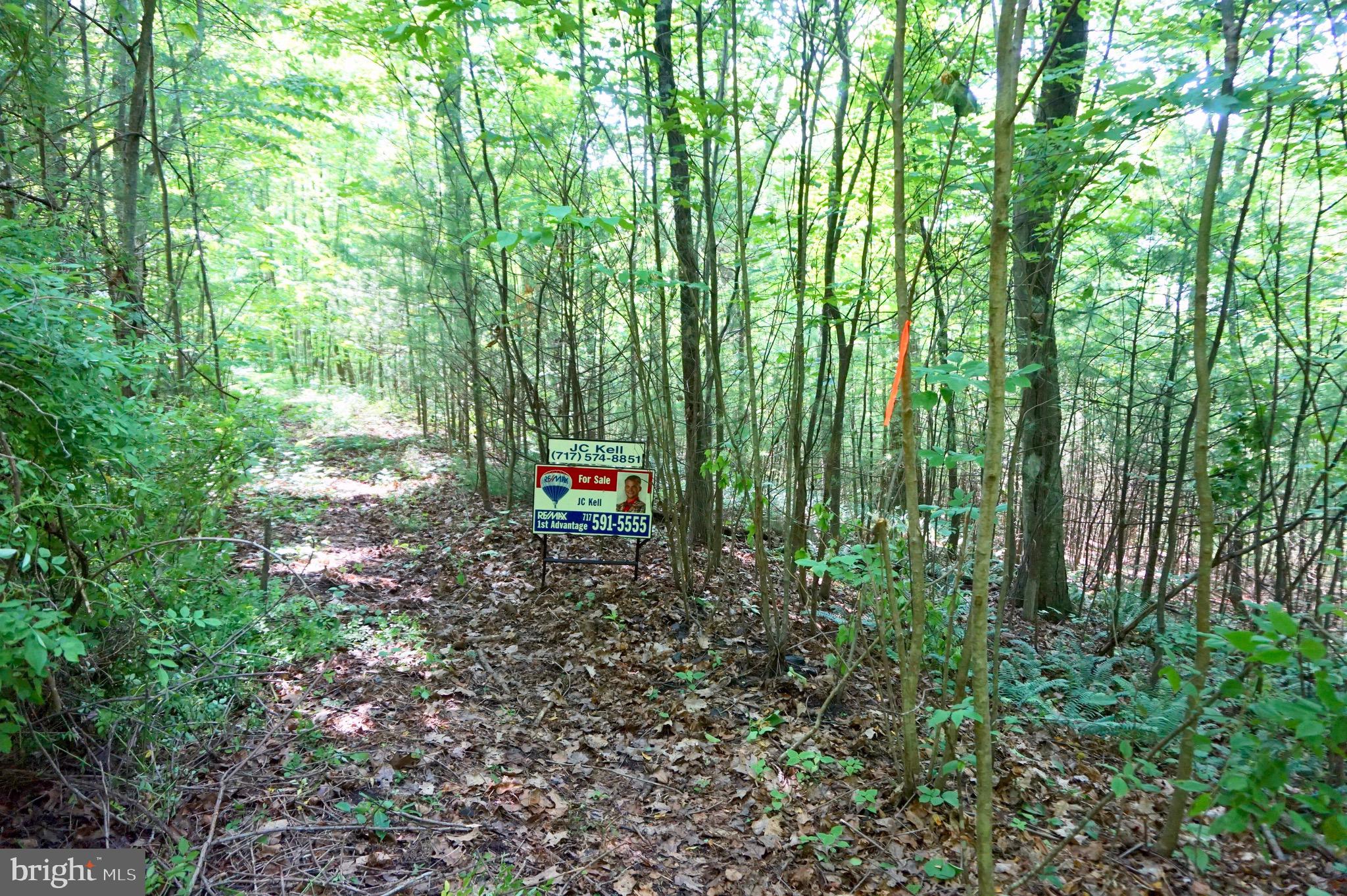 0 Mountain Road Lykens, PA 17048 - Photo 2 of 9 Gallery Image 2