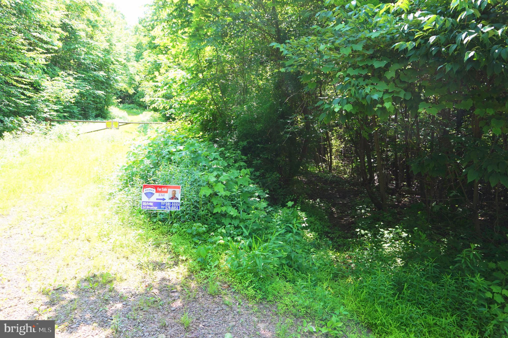 0 Mountain Road Lykens, PA 17048 - Photo 3 of 9 Gallery Image 3