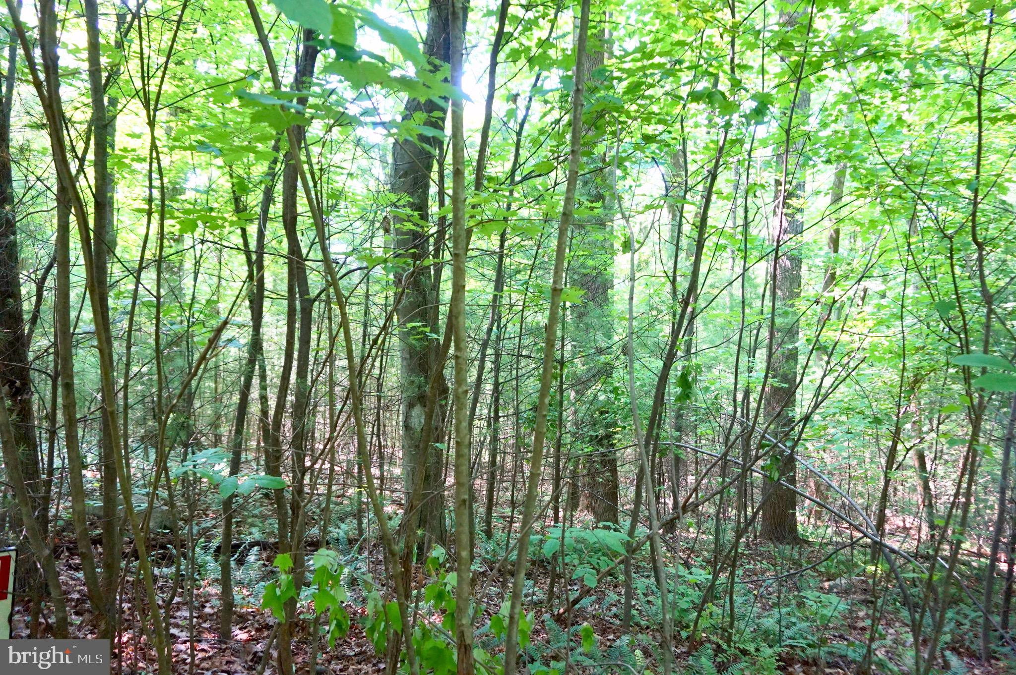 0 Mountain Road Lykens, PA 17048 - Photo 5 of 9 Gallery Image 5