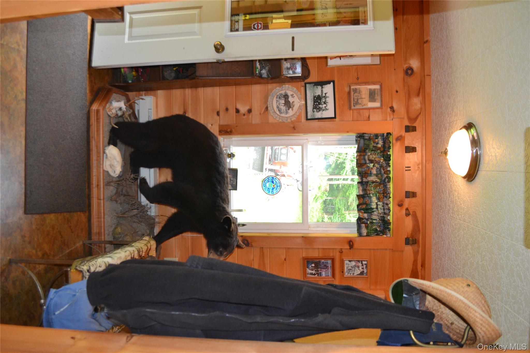 365 Via Appian Way Roscoe, NY 12776 - Photo 14 of 30 a living room with furniture and a floor to ceiling window