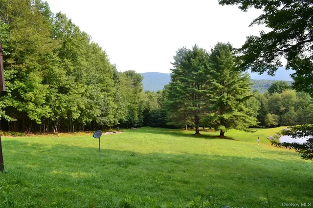 a view of a tree in a yard