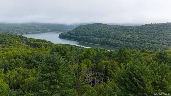 a view of a field with an ocean and trees in the background