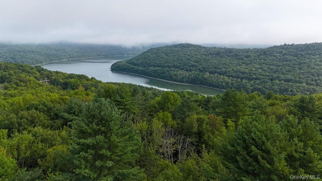 365 Via Appian Way Roscoe, NY 12776 - Photo 23 of 30 a view of a field with an ocean and trees in the background