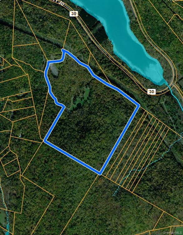 365 Via Appian Way Roscoe, NY 12776 - Photo 5 of 30 a view of a tennis court