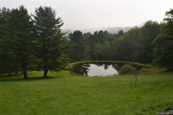 a view of a garden