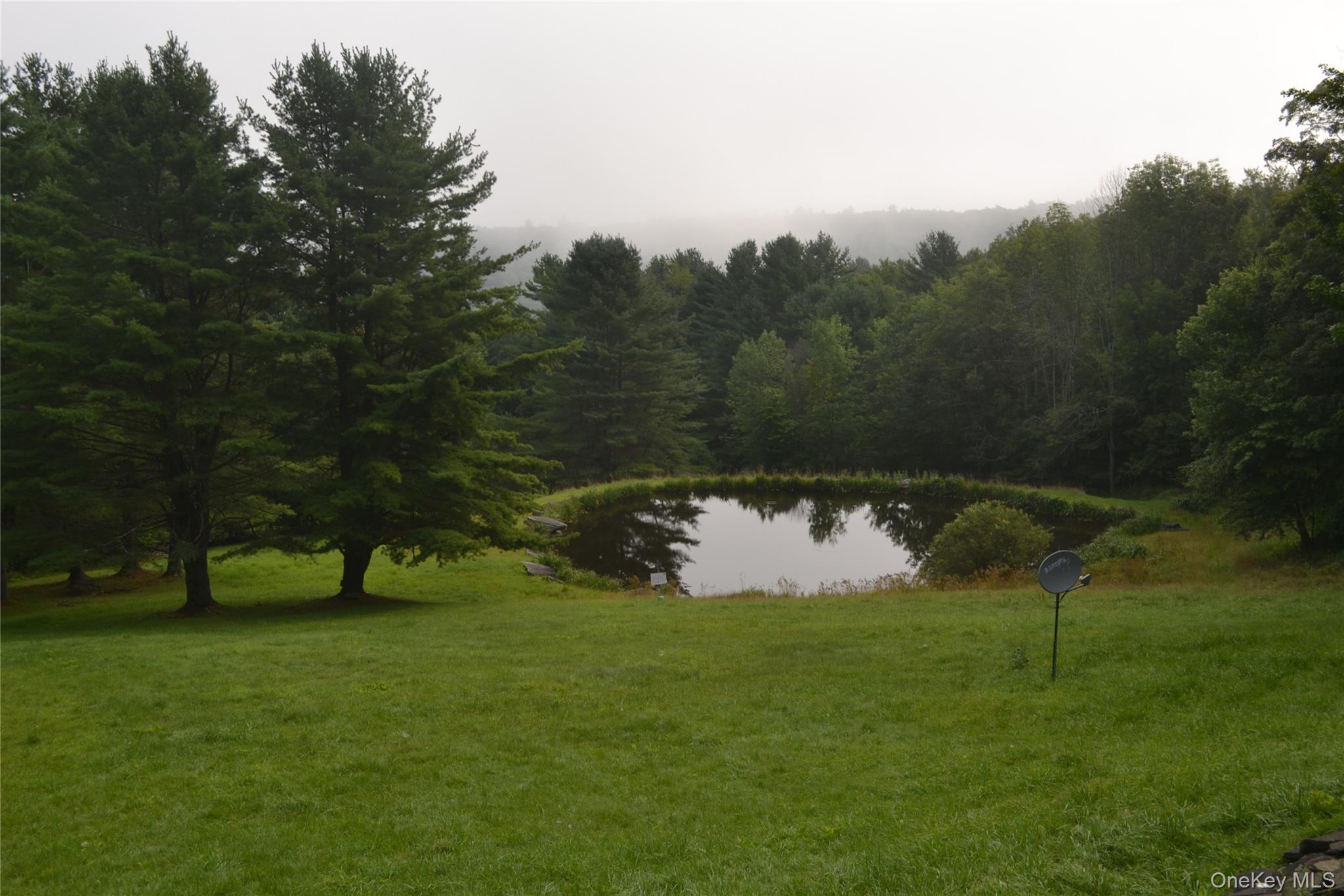 365 Via Appian Way Roscoe, NY 12776 - Photo 6 of 30 a view of a garden