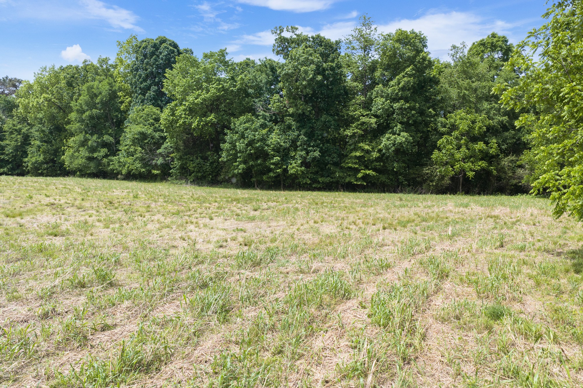 0 Mann Road Hollow Rock, TN 38342 - Photo 6 of 14