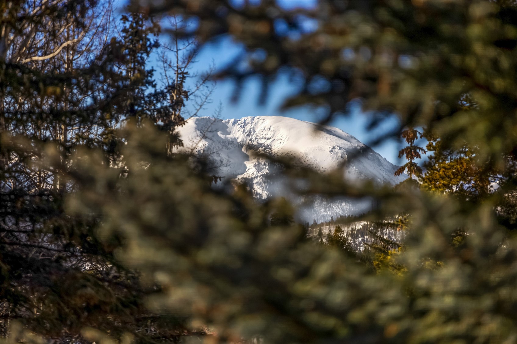 1473 East Keystone Road, Unit 2928 Keystone, CO 80435 - Photo 9 of 30 Details featuring a mountain view