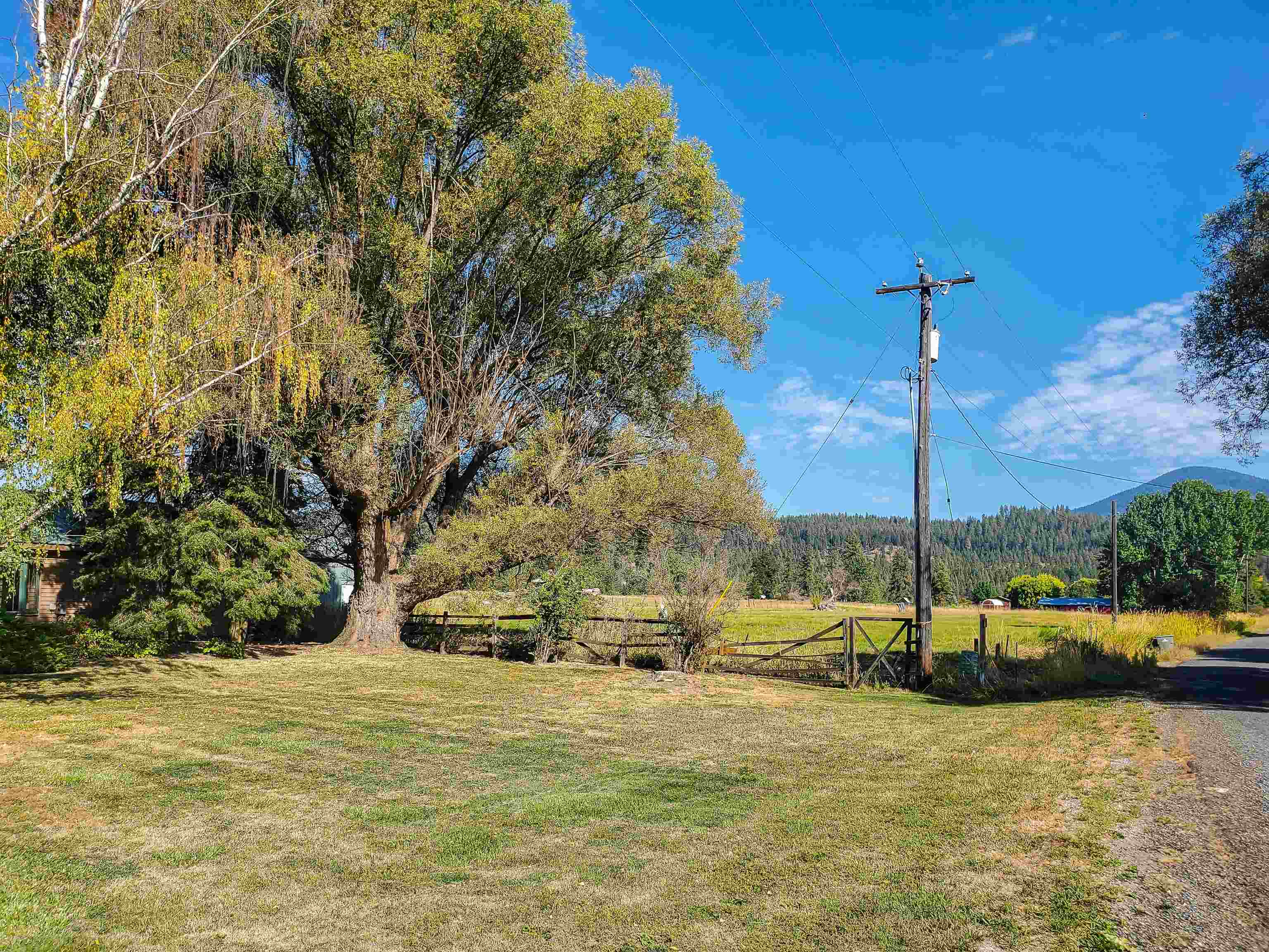 2239 Spence Road Chewelah, WA 99109 - Photo 2 of 50