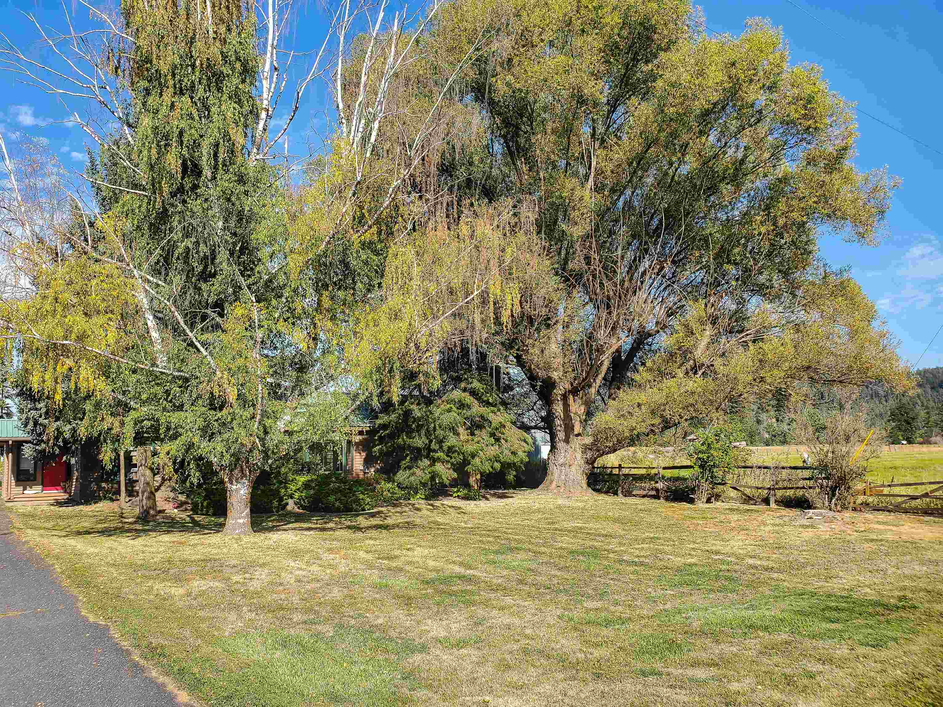 2239 Spence Road Chewelah, WA 99109 - Photo 3 of 50
