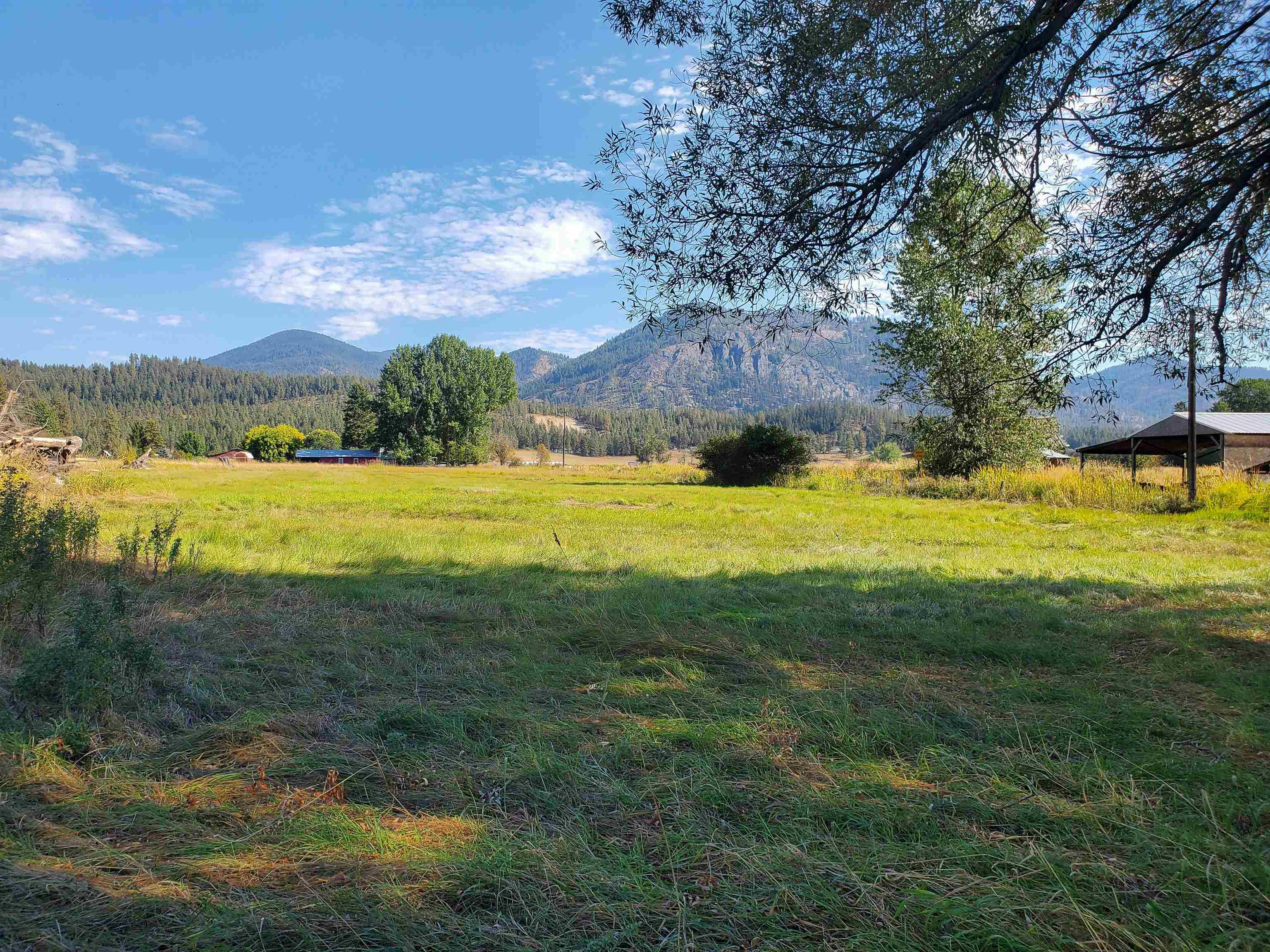 2239 Spence Road Chewelah, WA 99109 - Photo 4 of 50
