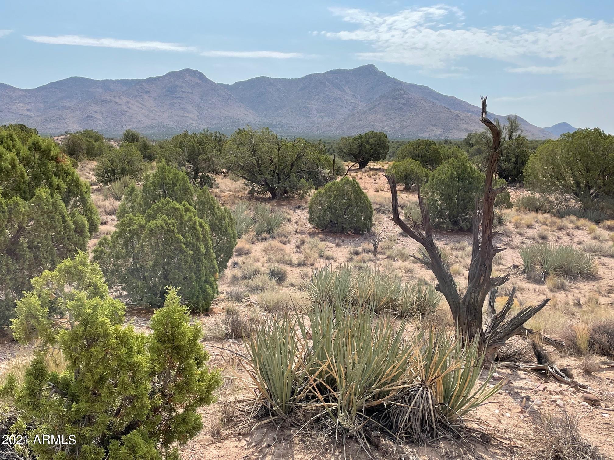 Lot 321 Howard Road, Unit 321 Kingman, AZ 86401 - Photo 12 of 17 IMG_9715
