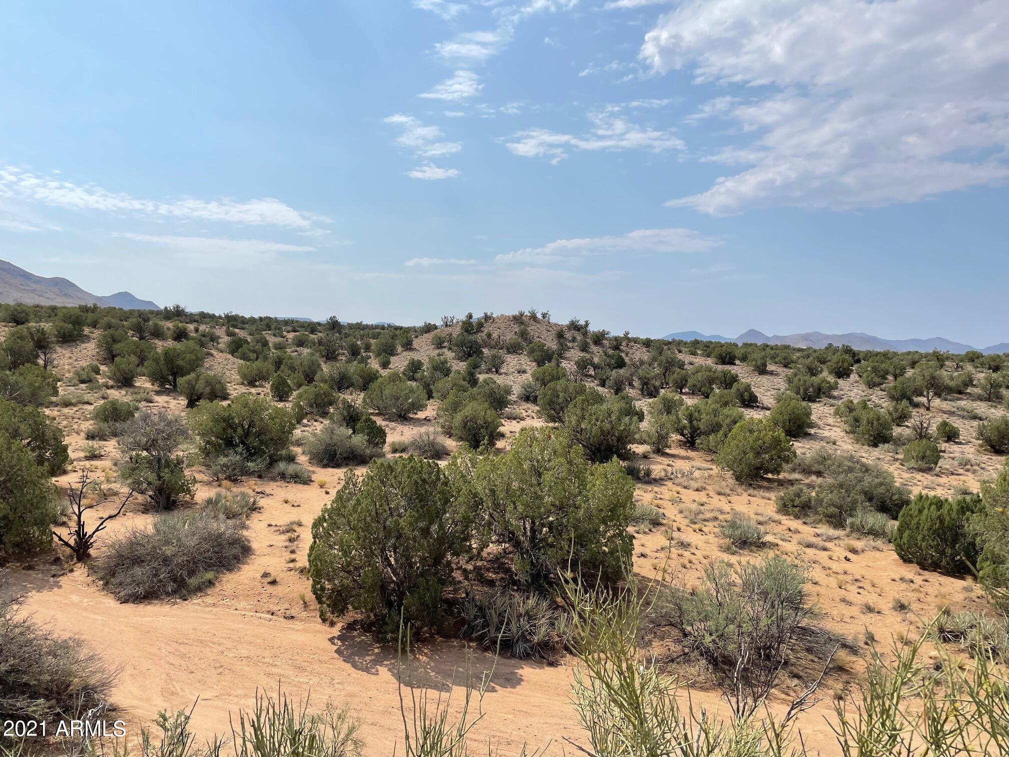 Lot 321 Howard Road, Unit 321 Kingman, AZ 86401 - Photo 17 of 17 IMG_9721