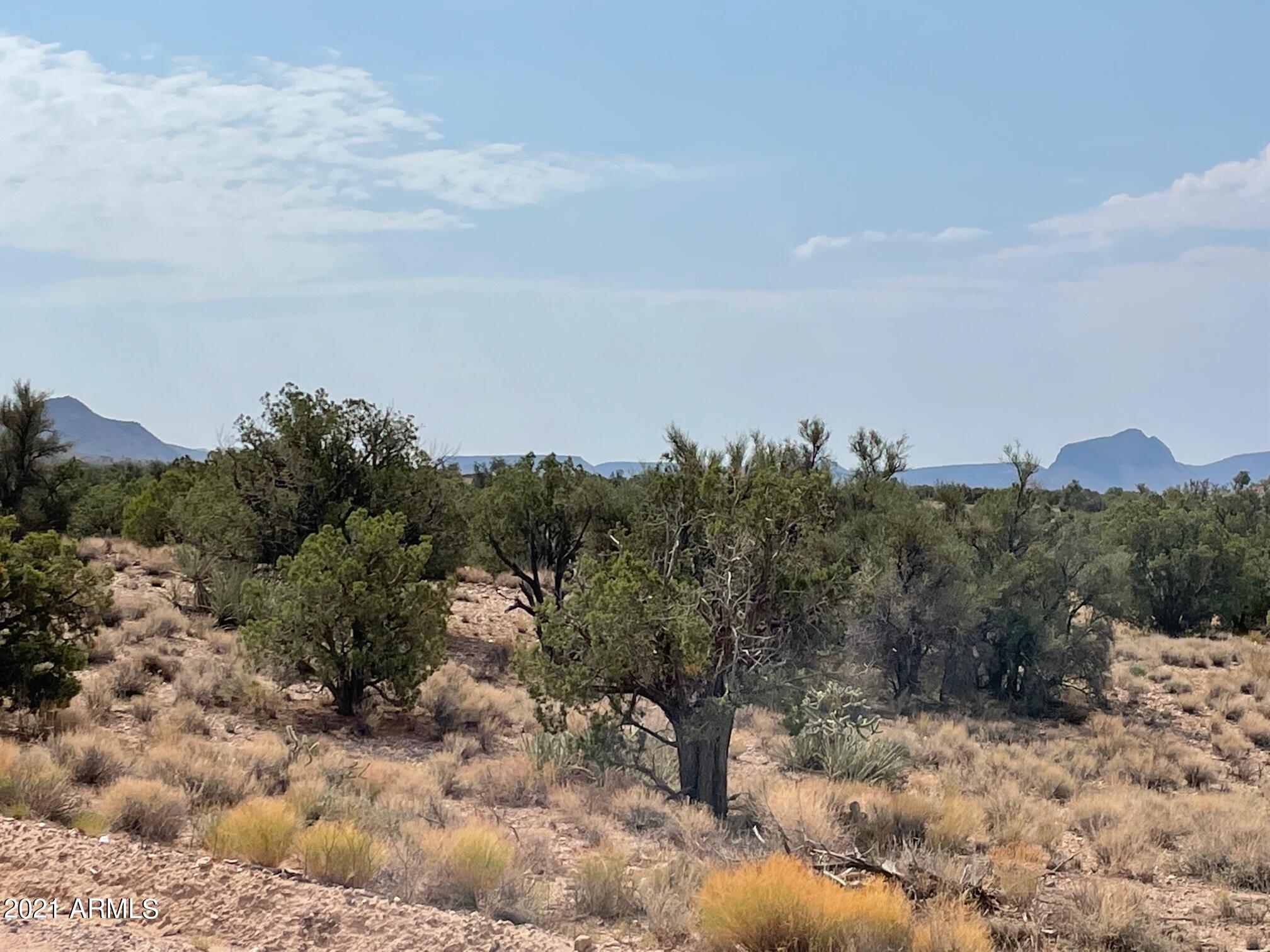 Lot 321 Howard Road, Unit 321 Kingman, AZ 86401 - Photo 3 of 17 IMG_9708